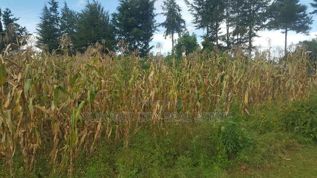 1/4 Plot Kuinet 300metres From Tarmac