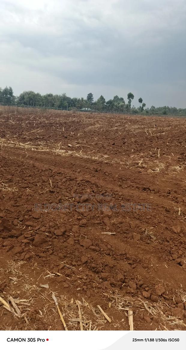 2.5 Acres Kabenes/Kapsang With Title