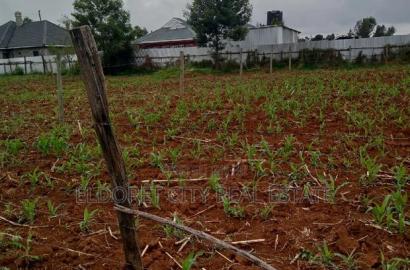 1/8 Plot Outspan Near Tarmac With Title