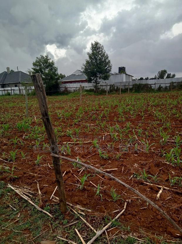 1/8 Plot Outspan Near Tarmac With Title