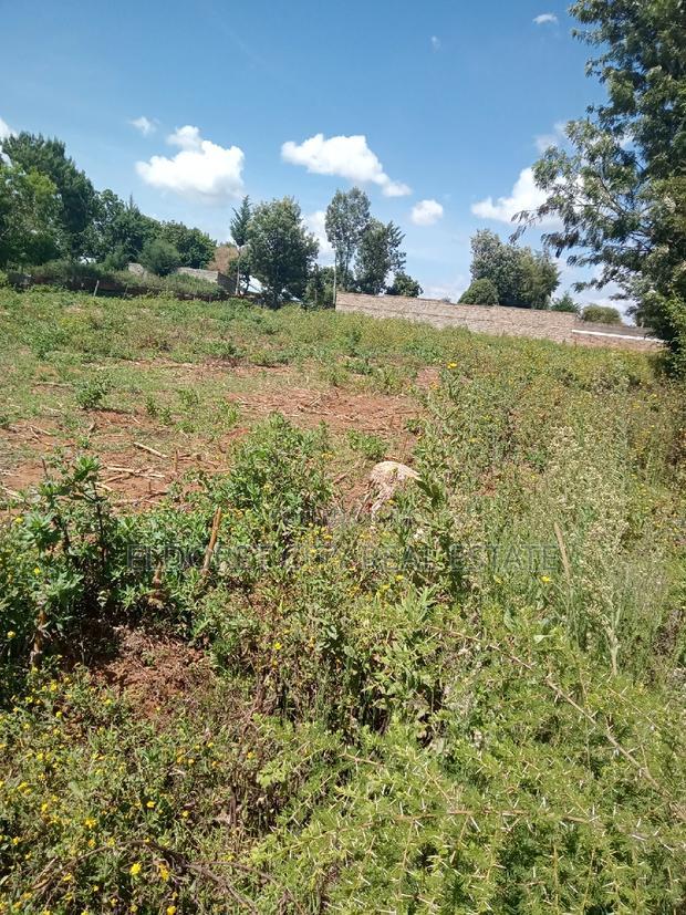 1/4 Plot Kimumu Betterfarm With Title