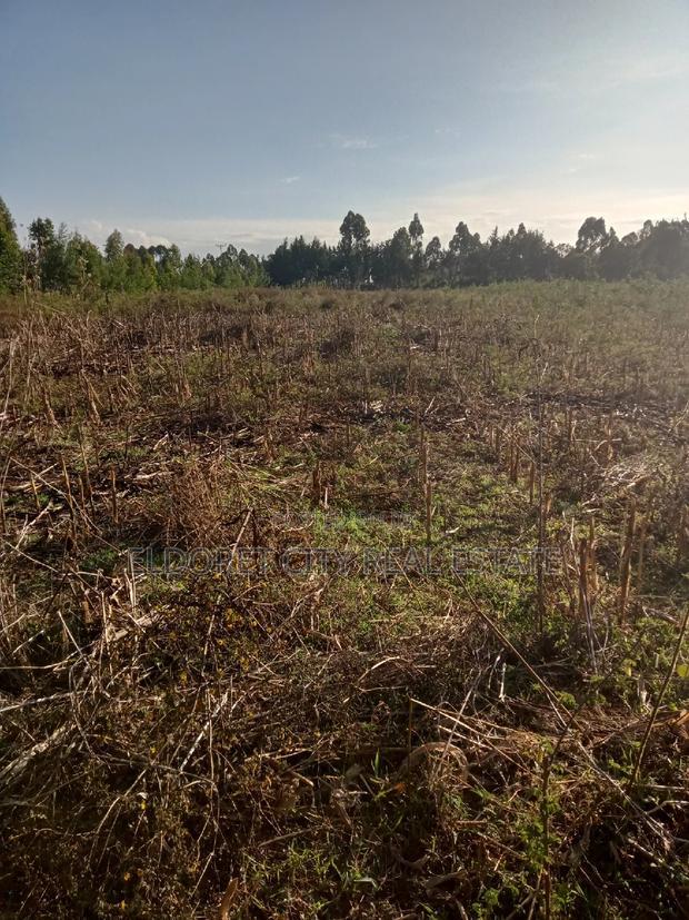 10 Acres of Land Outspan With Title.