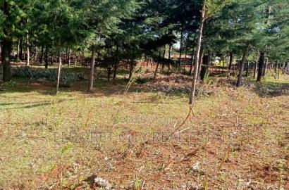 One Acre Land Kiplombe Ideal for Residential