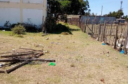 1/8 Plot Mti Moja With Title