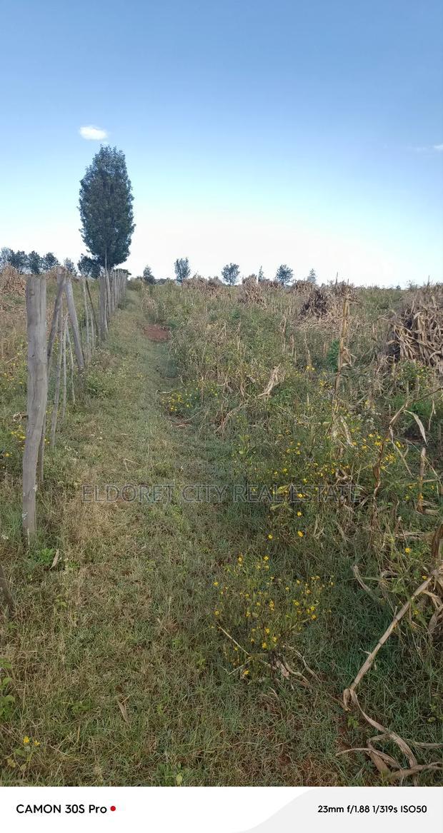 One Under 1/2 Acres Kaaboi With Title