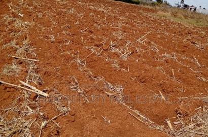 1/2 Acre Plot Kuinet With Title