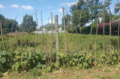1/2 Acre Elgonview Upper in Getted Community