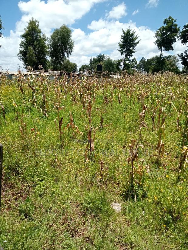 1/4 Plot Kimumu Ideal for Rental With Title