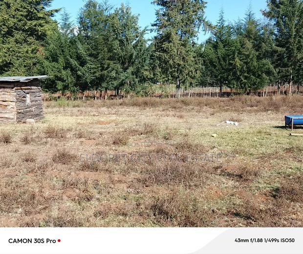 1/4 Plots Ilula Ideal for Residential.