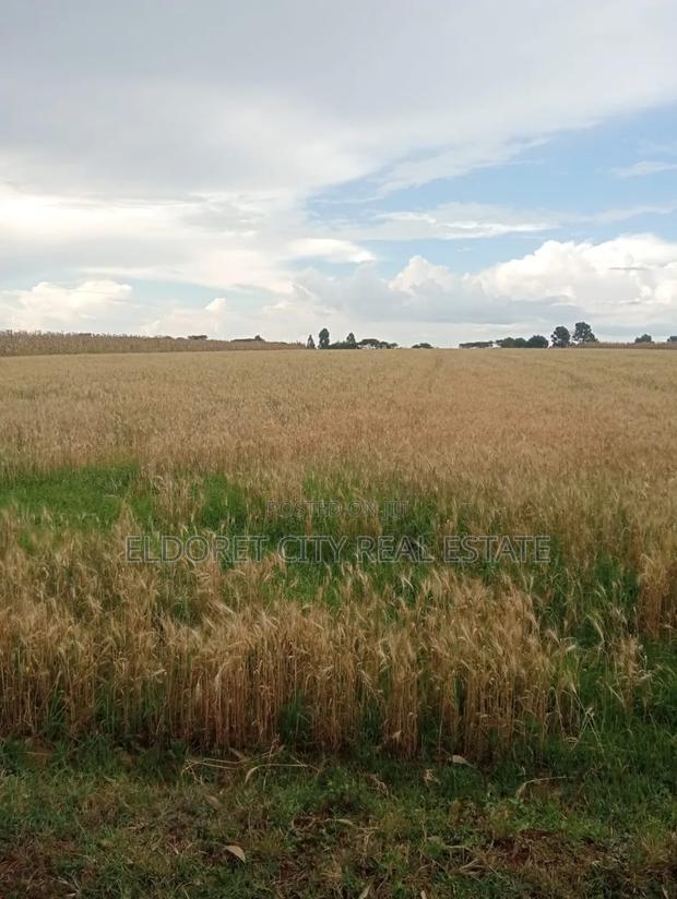 4 Acres Kaprobu 3.5km From Tarmac