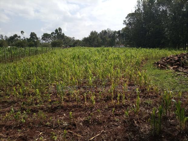 1/2 Acre Kuinet Mti Moja With Title