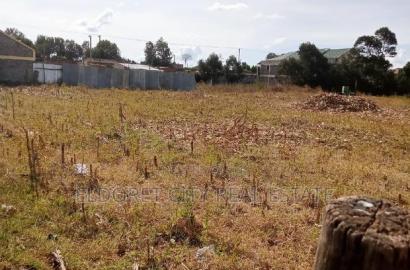1/4 Plot Kimumu Very Prime Ideal for Rental