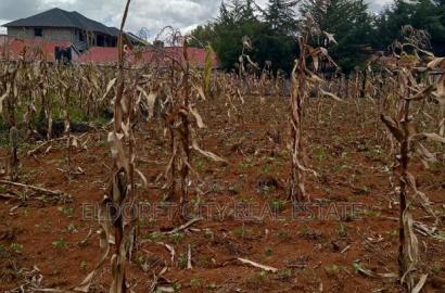 1/4 Plot Kimumu Ideal for Rental With Title.