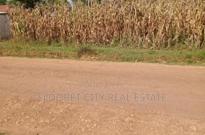 1/8 Plot Outspan With Title Less Than 300metres
