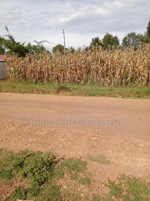 1/8 Plot Outspan With Title Less Than 300metres