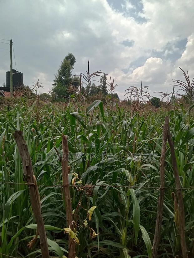 1/4 Plot Blossom Annex Ideal for Residential
