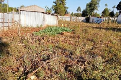 1/4 Plot Chebarus Kimumu With Title
