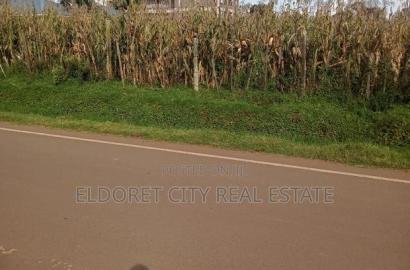 1/4 Plot Annex Mti Moja Touching Feeder Tarmac