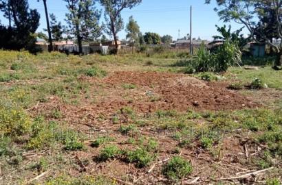 1/4 Plot Kimumu Betterfarm With Title