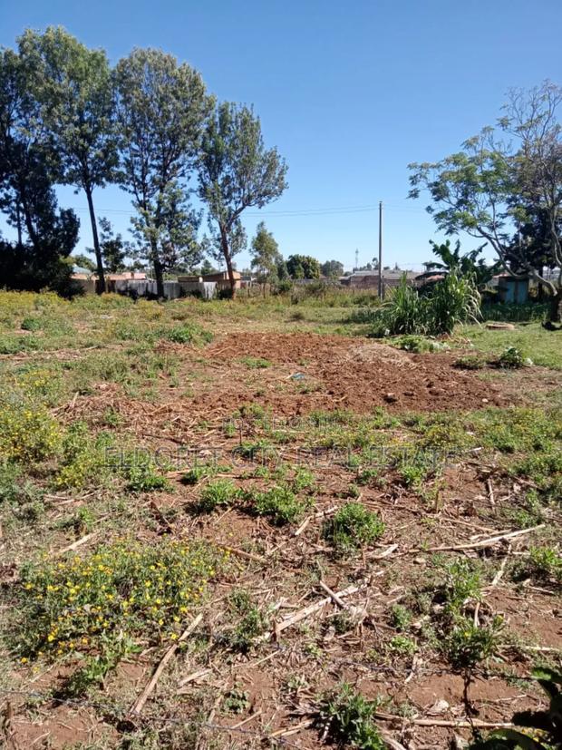 1/4 Plot Kimumu Betterfarm With Title