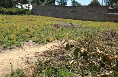 1/4 Kimumu Betterfarm With Title Ideal for Rental