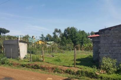 1/4 Plot Kimumu /Betterfarm in Good Location With Title