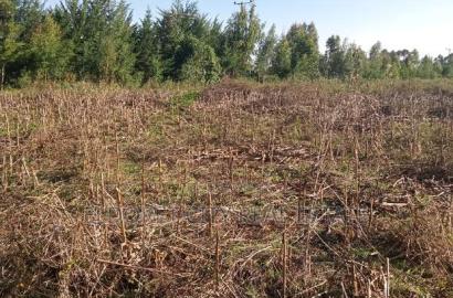 10 Acres of Land Outspan With Title.