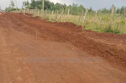 1/8 Plots Racecourse Touching Tarmac