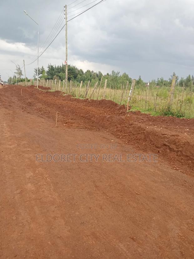 1/8 Plots Racecourse Touching Tarmac