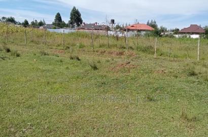 1/2 Acre Rolyton Near Madonna With Title