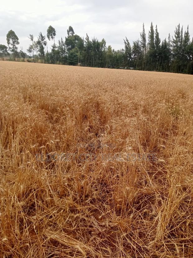 5 Acres Ilula With Title Arable