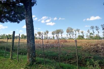 4 Acres Chebarus Ilula With Title.
