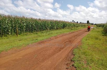 1/4 Plots Kiplombe With Title