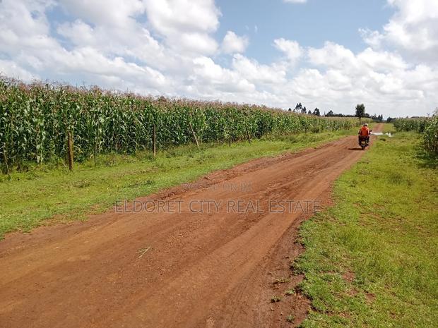 1/4 Plots Kiplombe With Title