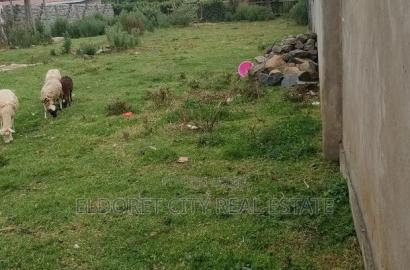 1/4 Plot Outspan Ideal for Residential With Title.