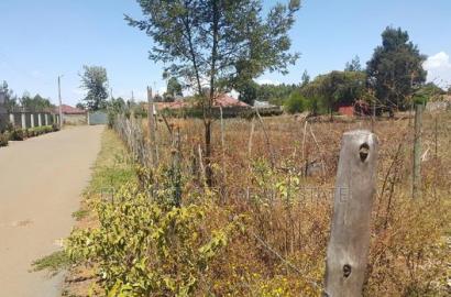 Good Residential Plot in Blossom With Title