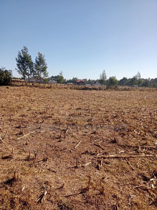 1/8 Plots Ilula Ideal for Residential