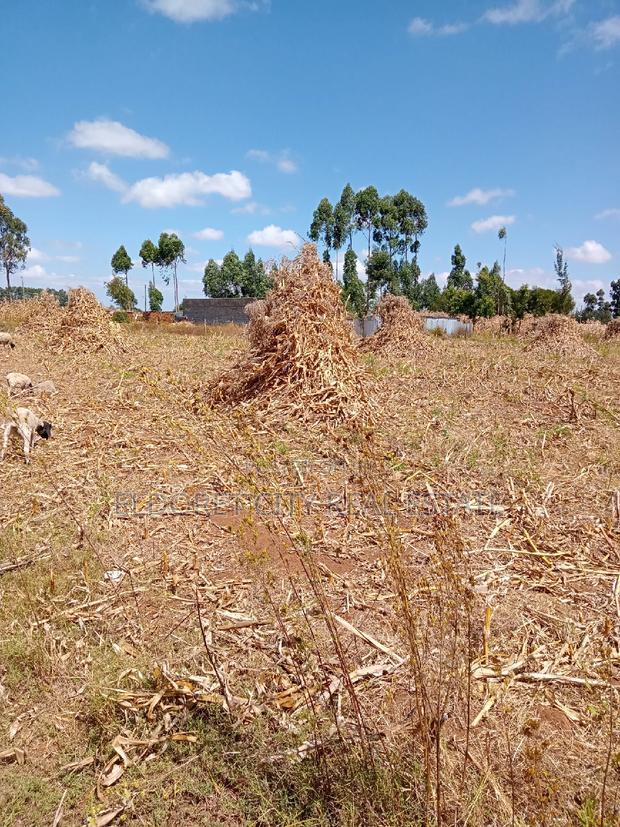 1/2 Acre Kiplombe With Title