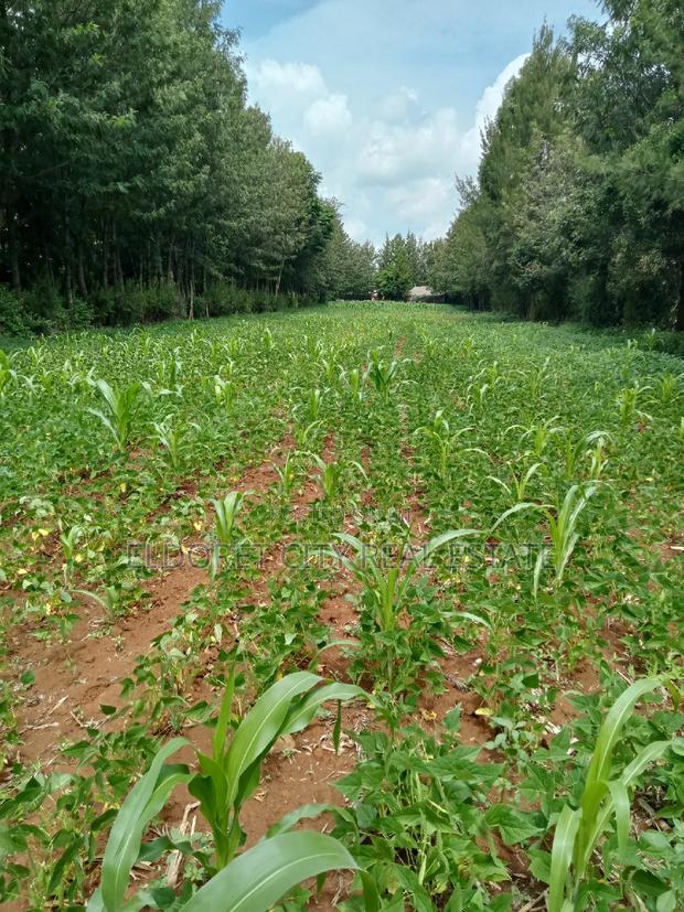 1/8 Plot Kipkorgot Ideal for Residential Touching Tarmac