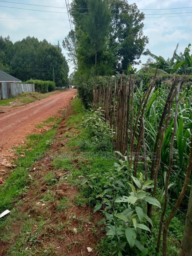 1/4 Plot Blossom Annex Ideal for Residential