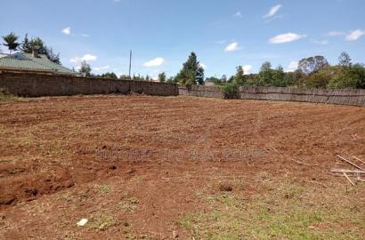 1/4 Plot Ilula 500m From Tarmac