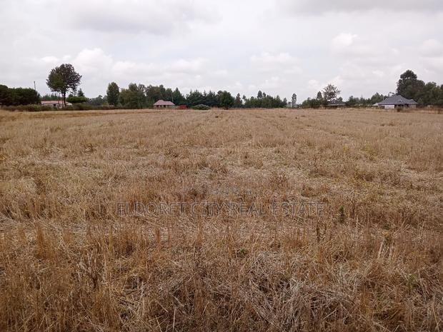 1/4 Plots Chepkanga for Residential