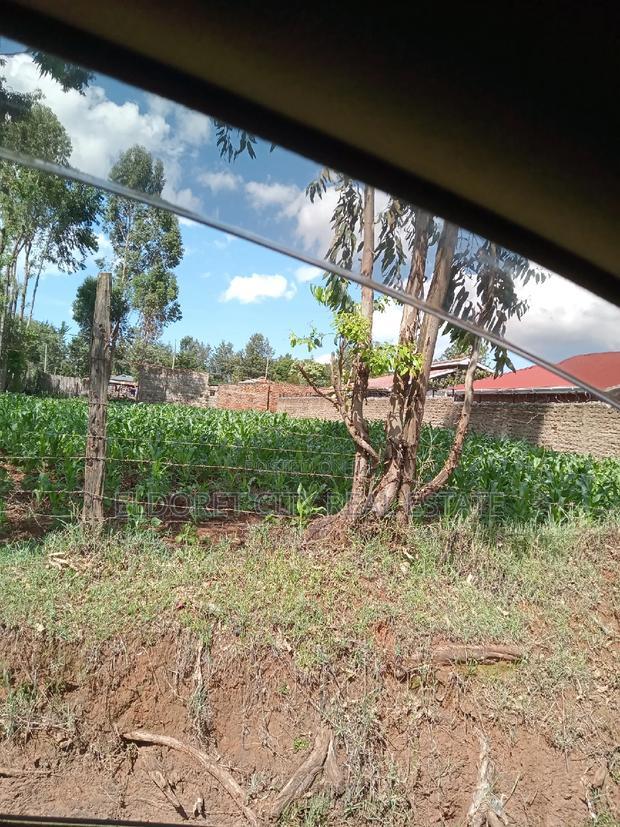 1/4 Plot Kimumu Junction With Title