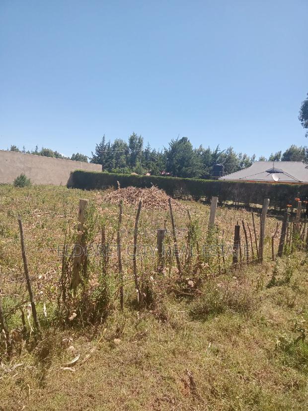 1/4 Plot With Title Kapseret