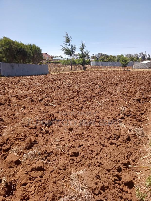 1/8 and 1/4 Plots Kipkorgot Ideal for Residential
