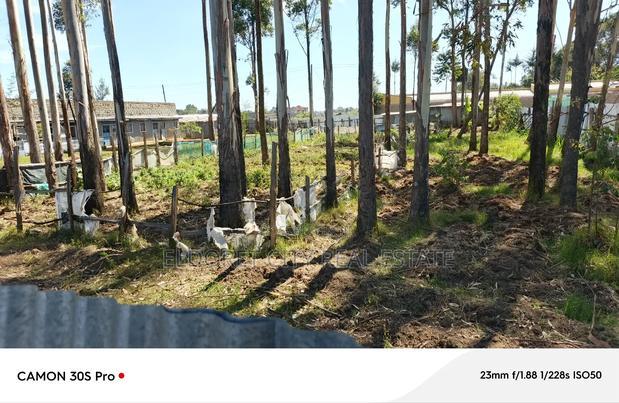 1/2 Acre Kimumu With Title Ideal for Commercial Purpose