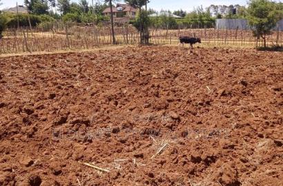1/4 Plot Kipkorgot Ideal for Residential
