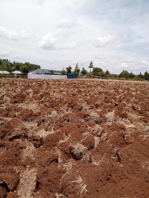 1/2 Acre Kamariny Iten With Title