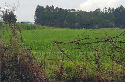 1/4 Plots Chepkanga 50metres From Tarmac