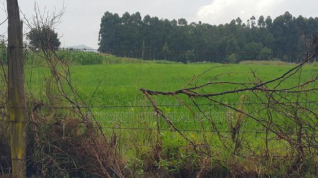 1/4 Plots Chepkanga 50metres From Tarmac